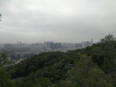 -金鸡山公园