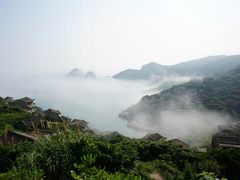 -枸杞岛