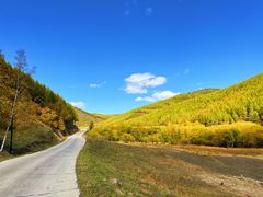 -塞罕坝国家级自然保护区