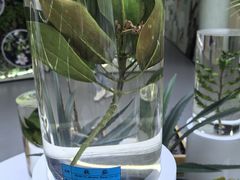 -东寨港红树林旅游区