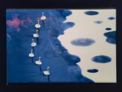 -罗红摄影艺术馆