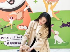 -金茂览秀城