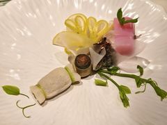 -叶叶菩提(太原别墅店)