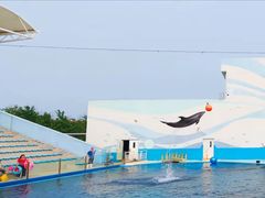 -北戴河圣蓝海洋公园