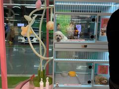 -FAELING PETS美天灵宠物(合生汇店)