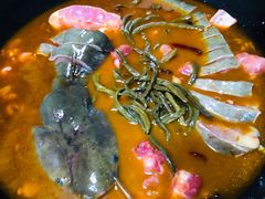 江鲶鱼-俊家铁锅炖鱼(丹东店)