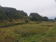 -仙岛湖旅游风景区