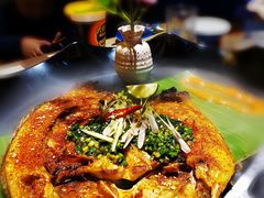 -雀舞云南菜(乐客城店)