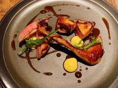 鸽子肉-EGoN