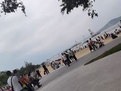 -南沙蒲洲花园