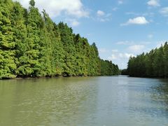 -上海海湾国家森林公园