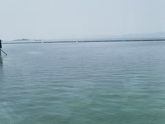 -古尚锦酒楼·水上餐厅