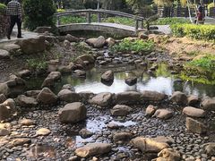 -深圳龙潭公园