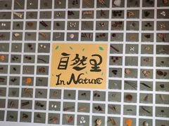 -居住主题小金星幼儿园