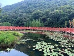 -广州市石门国家森林公园