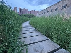 -西安汉城湖景区