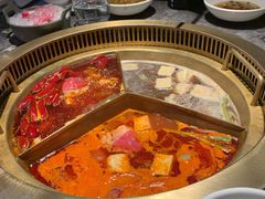番茄-麻路成都火锅(柏威年店)