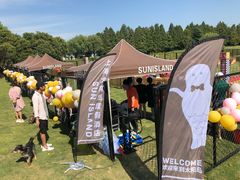 -太阳岛度假酒店