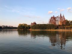 -黄兴公园