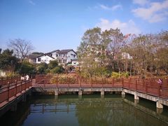 -石塘人家