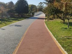 -大兴滨河森林公园