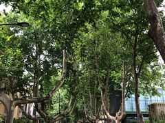 -西安电影制片厂