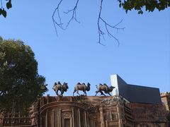 -红光山景区