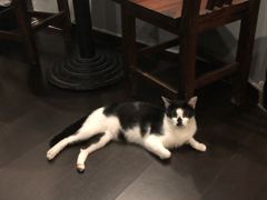 -虚荣精酿酒屋(五羊店)