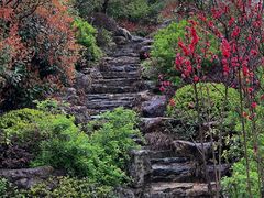 -杭州桐庐康莱德酒店西餐厅-舍
