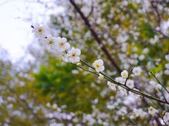 -金山公园