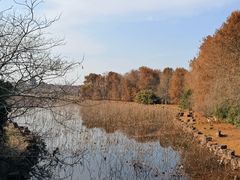 -上海海湾国家森林公园