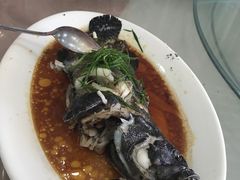 清蒸石斑鱼-双月饭店·20年老字号(新村店)