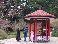 -庐山风景区花径公园