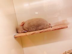 -龙猫仔乐园(惠福东路店)