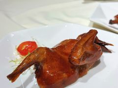 红烧乳鸽-東海海鲜酒家(中信广场店)