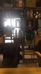 -藤野造型