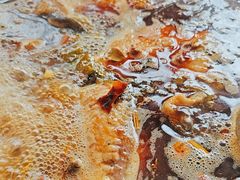 -黑龙滩生态鱼火锅(百寿路店)