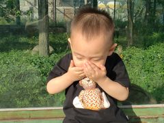 -新疆天山野生动物园