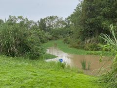 -桤木河湿地公园