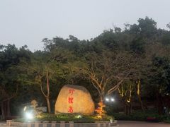 -野狸岛