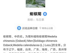 -南岗山公园