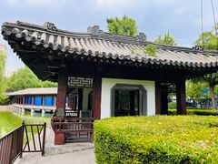 -团结湖公园