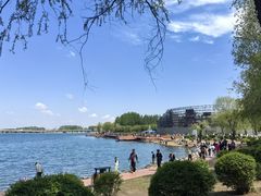 -丁香湖公园