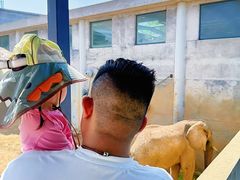 -西霞口神雕山野生动物世界