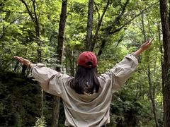 -洛阳白云山景区