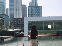 -Apple零售店(成都太古里店)