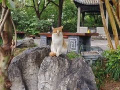-云龙山