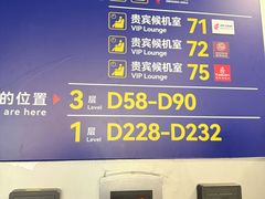 -上海浦东国际机场-T2航站楼