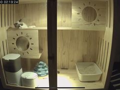-渲嗳动物医院(异宠·复杂内科转诊中心·玖洲道富华里分院)