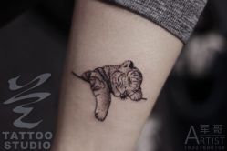 -见雾TATTOO STUDIO